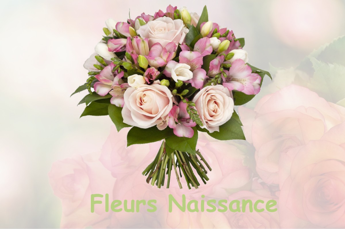 fleurs naissance SAINT-FIACRE